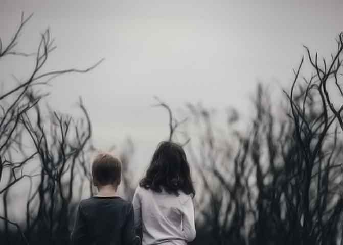 助您决胜市场的器测压文章